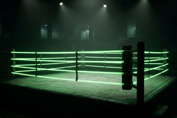 Boxing Betting Odds — Fight Winner & Round Betting